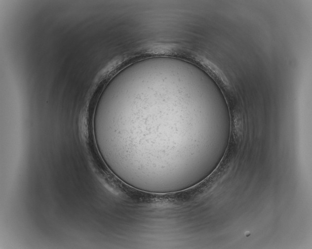 X0000111940682200908101202