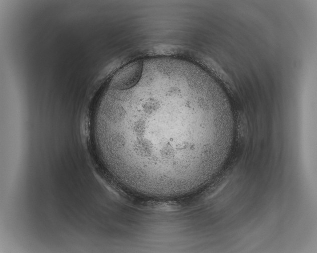 X0000111940683200908101202