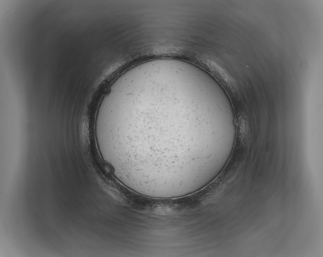 X0000111940684200908101202