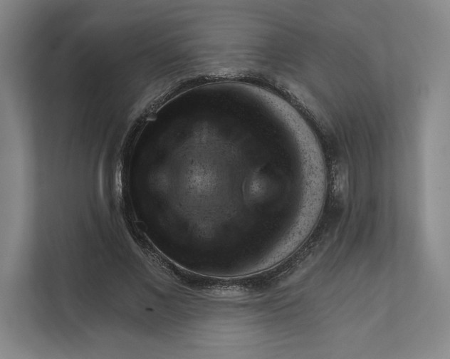 X0000111940685200908101202