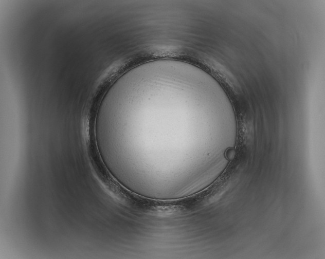 X0000111940686200908101202