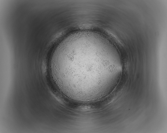 X0000111940687200908101202