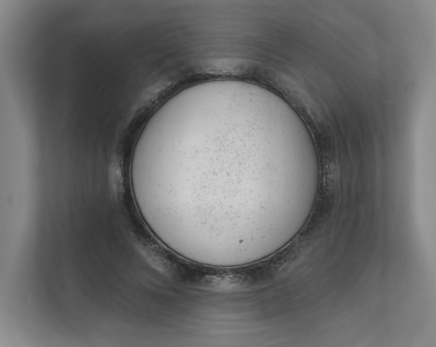 X0000111940688200908101202