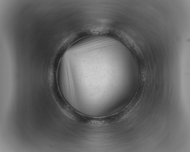 X0000111940690200908101202