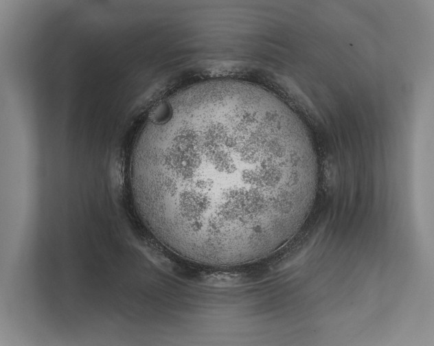 X0000111940691200908101202