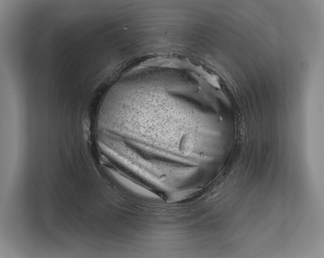 X0000111940693200908101202