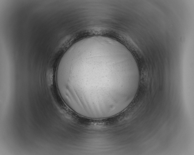 X0000111940694200908101202