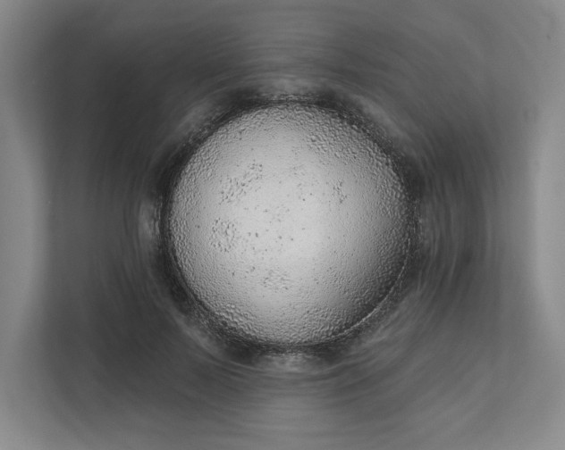 X0000111940695200908101202