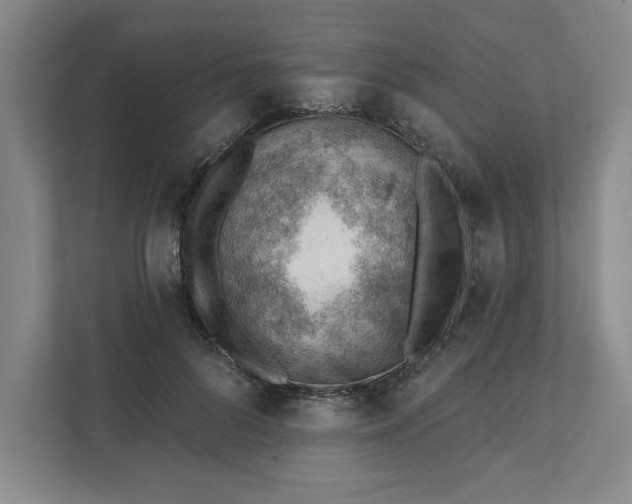 X0000111940696200908101202