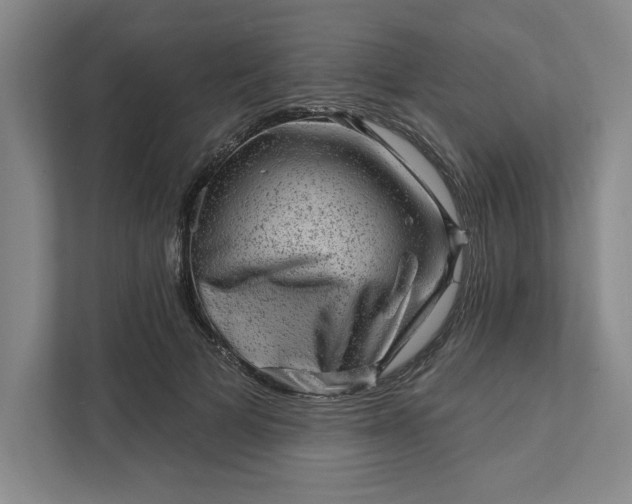 X0000111940697200908101202