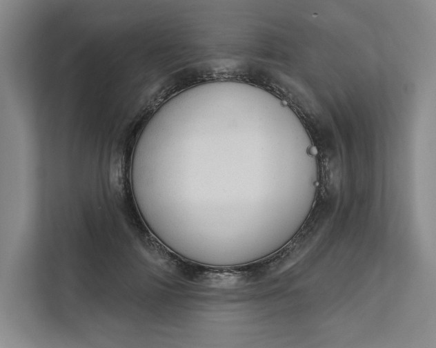 X0000111940698200908101202