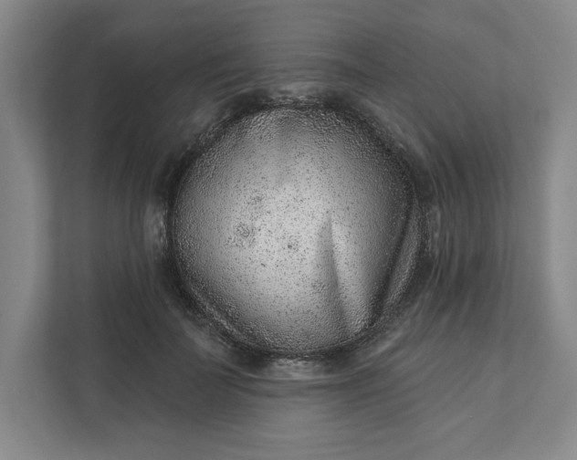 X0000111940699200908101202