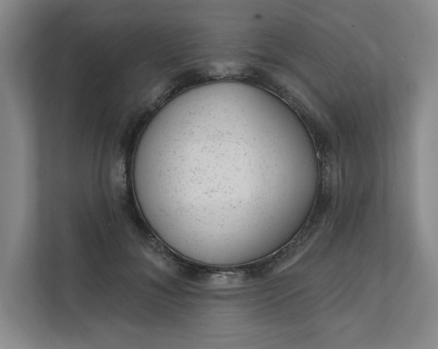 X0000111940700200908101202