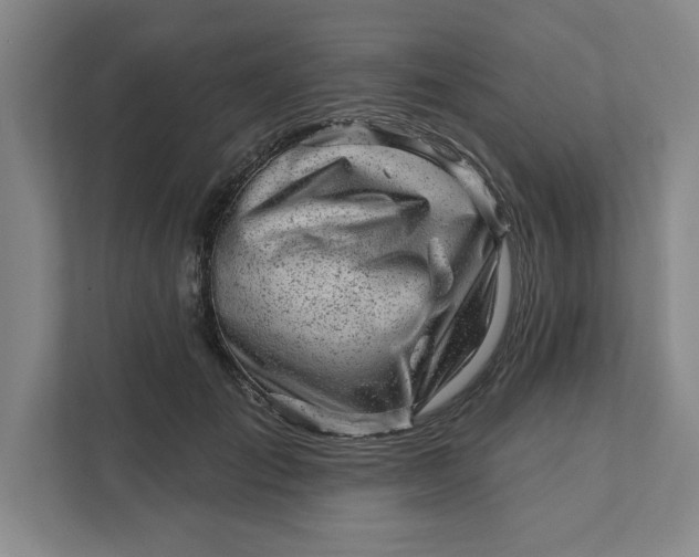 X0000111940701200908101202