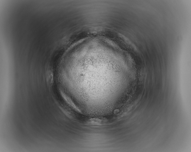 X0000111940703200908101202