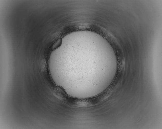 X0000111940704200908101202