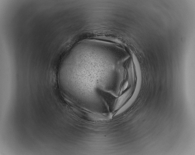 X0000111940705200908101202