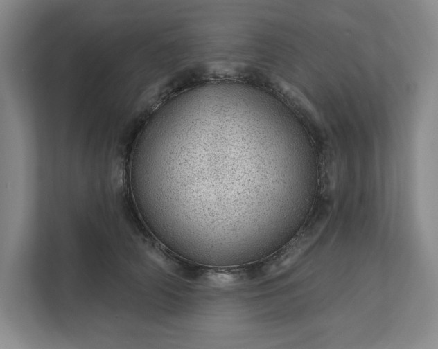 X0000111940706200908101202