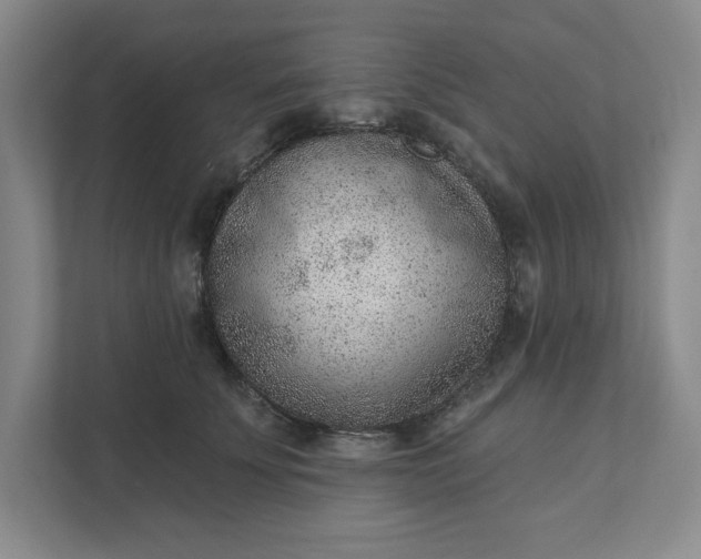 X0000111940707200908101202