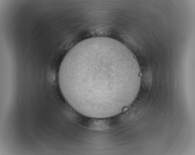 X0000111940709200908101202