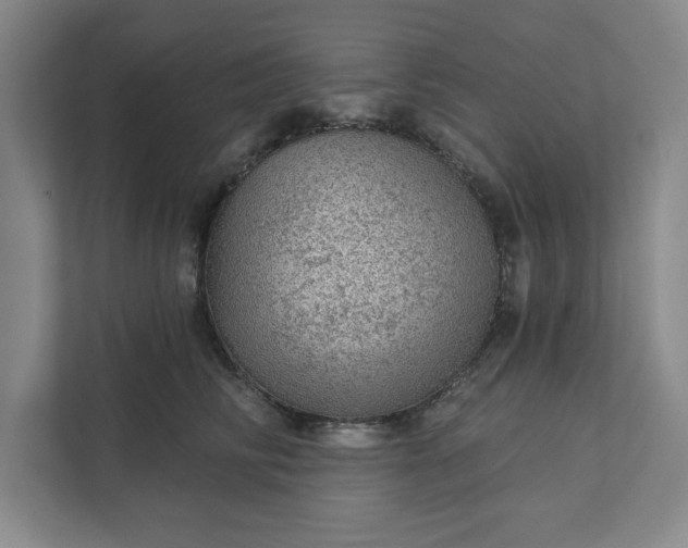 X0000111940710200908101202