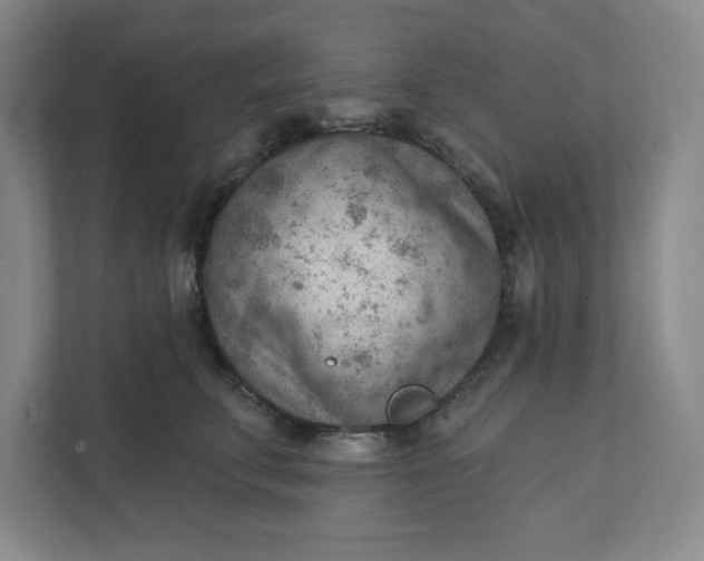 X0000111940711200908101202