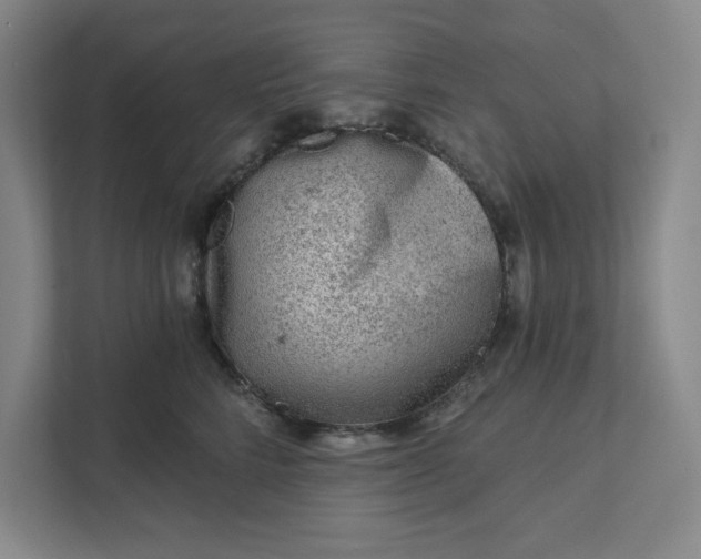 X0000111940712200908101202