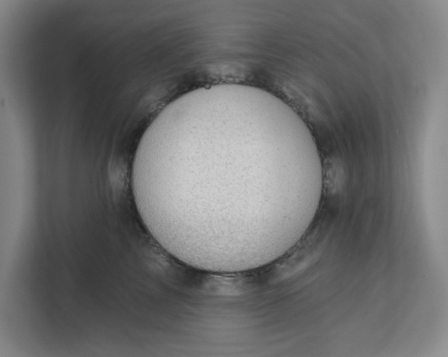 X0000111940713200908101202