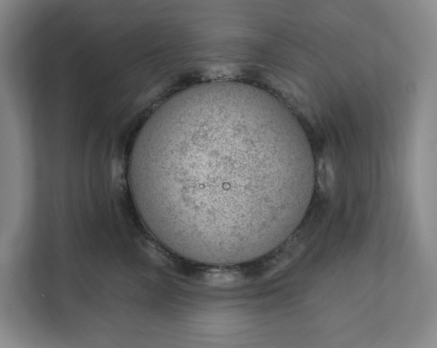 X0000111940714200908101202