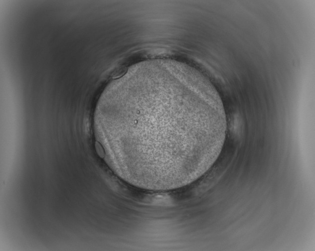 X0000111940715200908101202