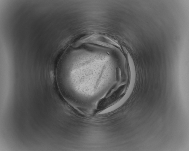 X0000111940716200908101202