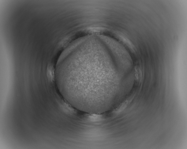 X0000111940718200908101202