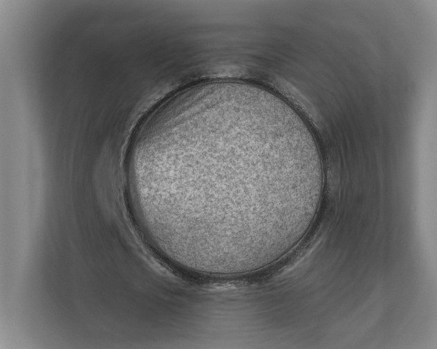 X0000111940721200908101201