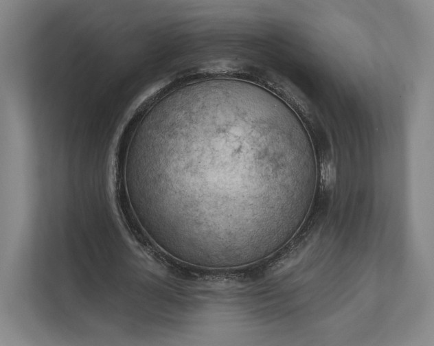 X0000111940724200908101201