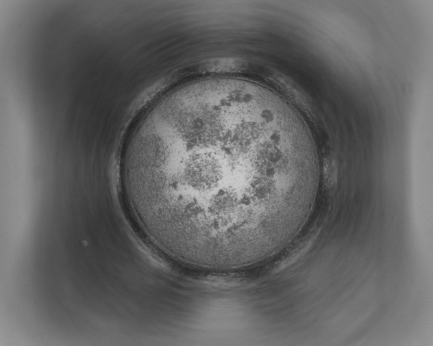 X0000111940725200908101201