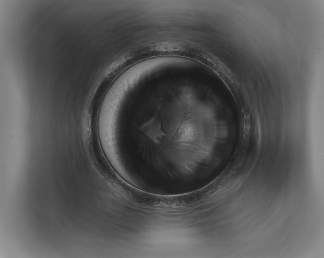 X0000111940727200908101201