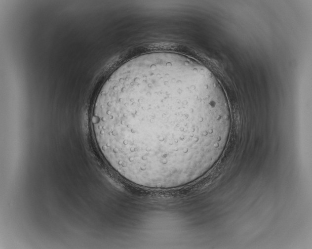 X0000111940729200908101201