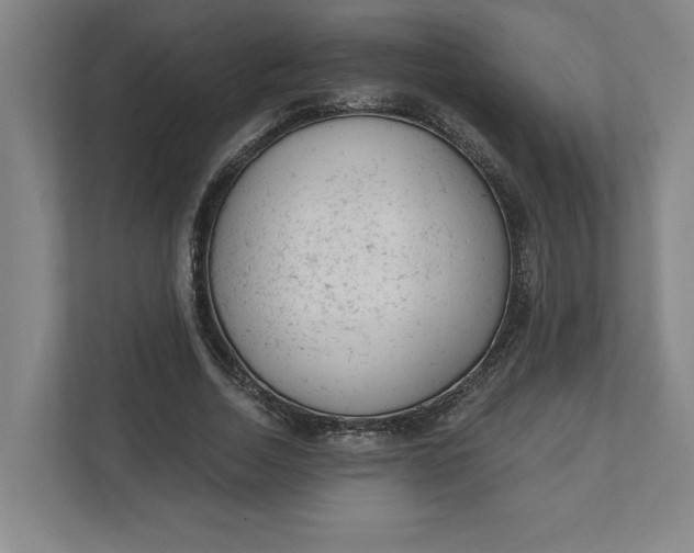 X0000111940730200908101201