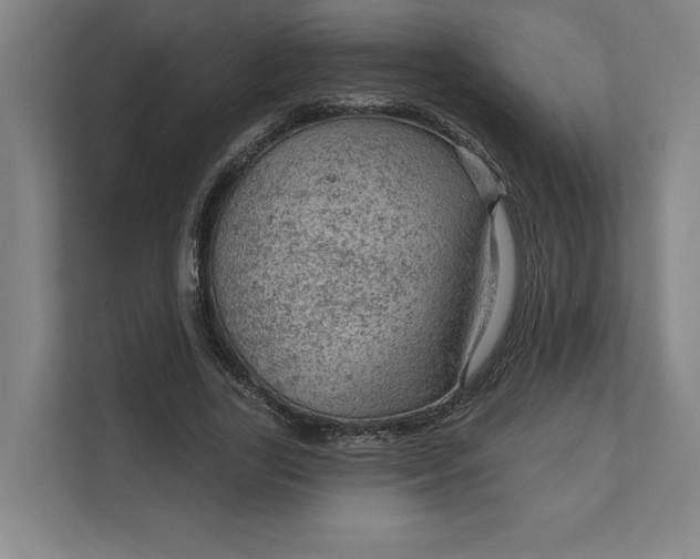 X0000111940731200908101201