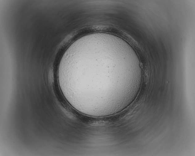 X0000111940734200908101201