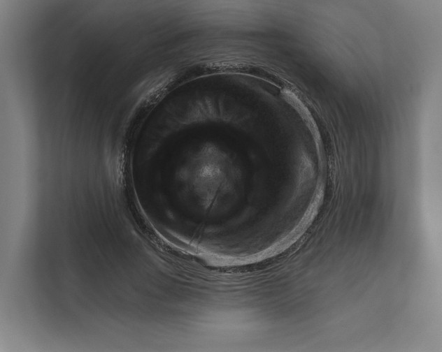 X0000111940735200908101201