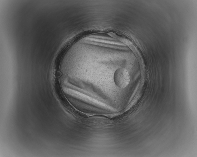 X0000111940736200908101201