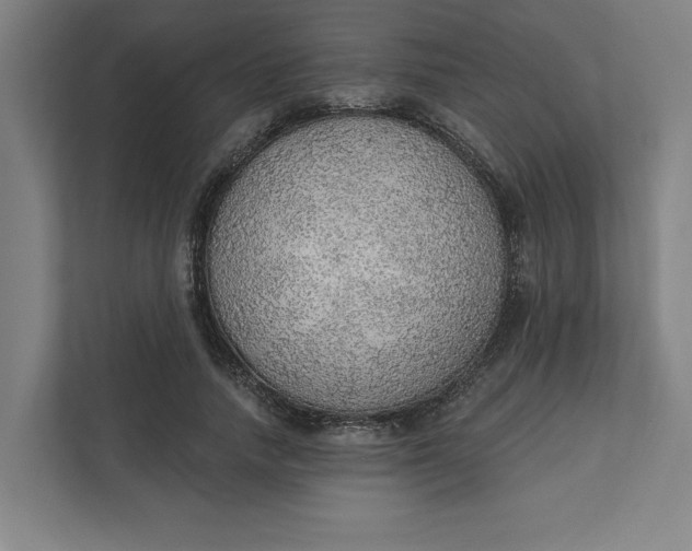 X0000111940738200908101201