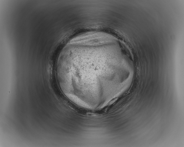 X0000111940739200908101201