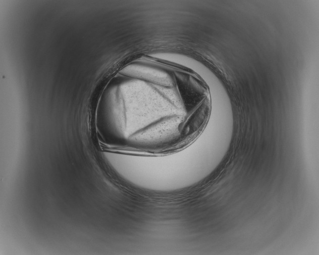 X0000111940740200908101201