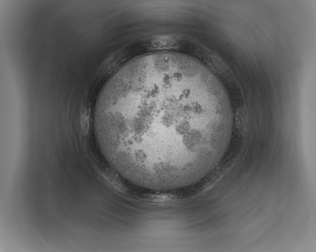 X0000111940741200908101201