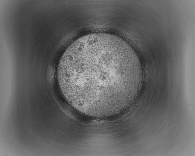 X0000111940742200908101201