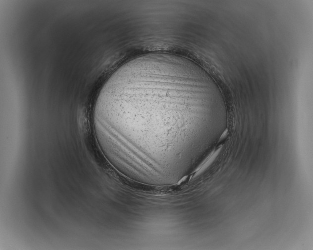 X0000111940743200908101201