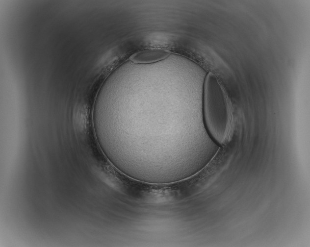 X0000111940744200908101201