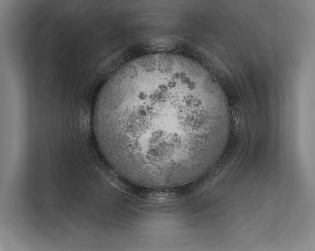 X0000111940745200908101201